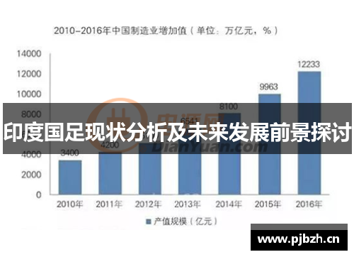 印度国足现状分析及未来发展前景探讨